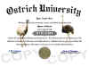 ostrich diploma