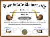  pipe collector diploma